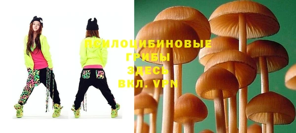 хмурый Алексин