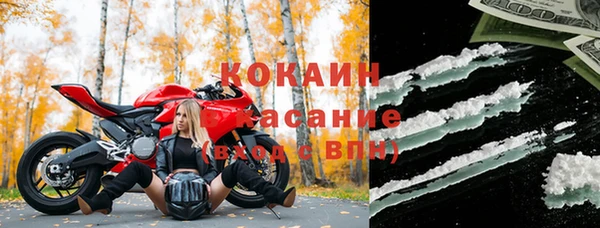 хмурый Алексин