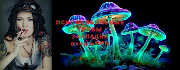 хмурый Алексин